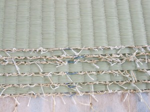 畳表の経糸
