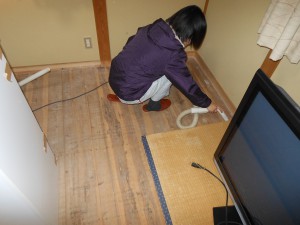 畳の下の床板掃除
