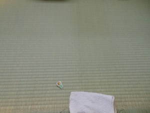 畳の掃除