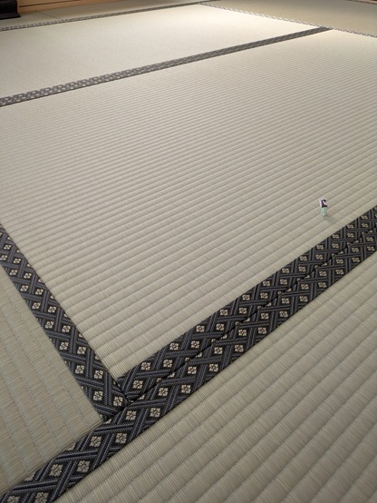 新しい畳