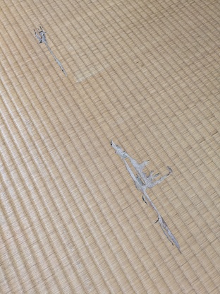 白蟻に食べられた畳