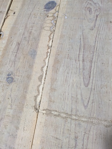 白蟻に食べられた床板