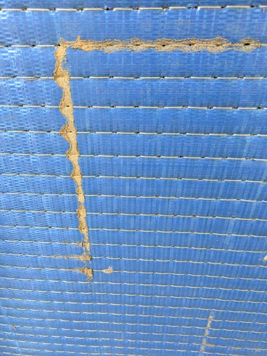 白蟻に食べられた畳2