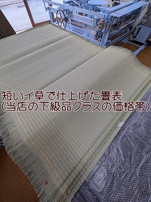 熊本県産畳表　下級品