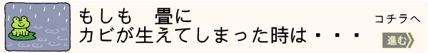 畳にカビが生えたとき