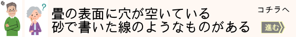 畳に住む虫